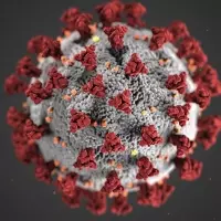 Justa causa, pandemia e vacina.